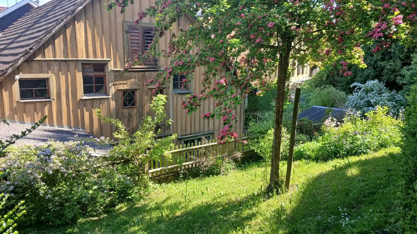 Appartamento in affitto - 9008 St. Gallen - Foto 3
