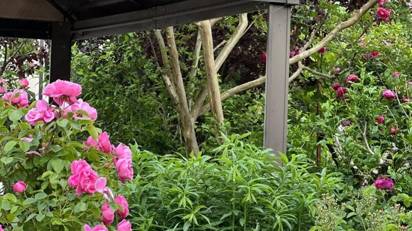 Single house for sale - 1295 Mies