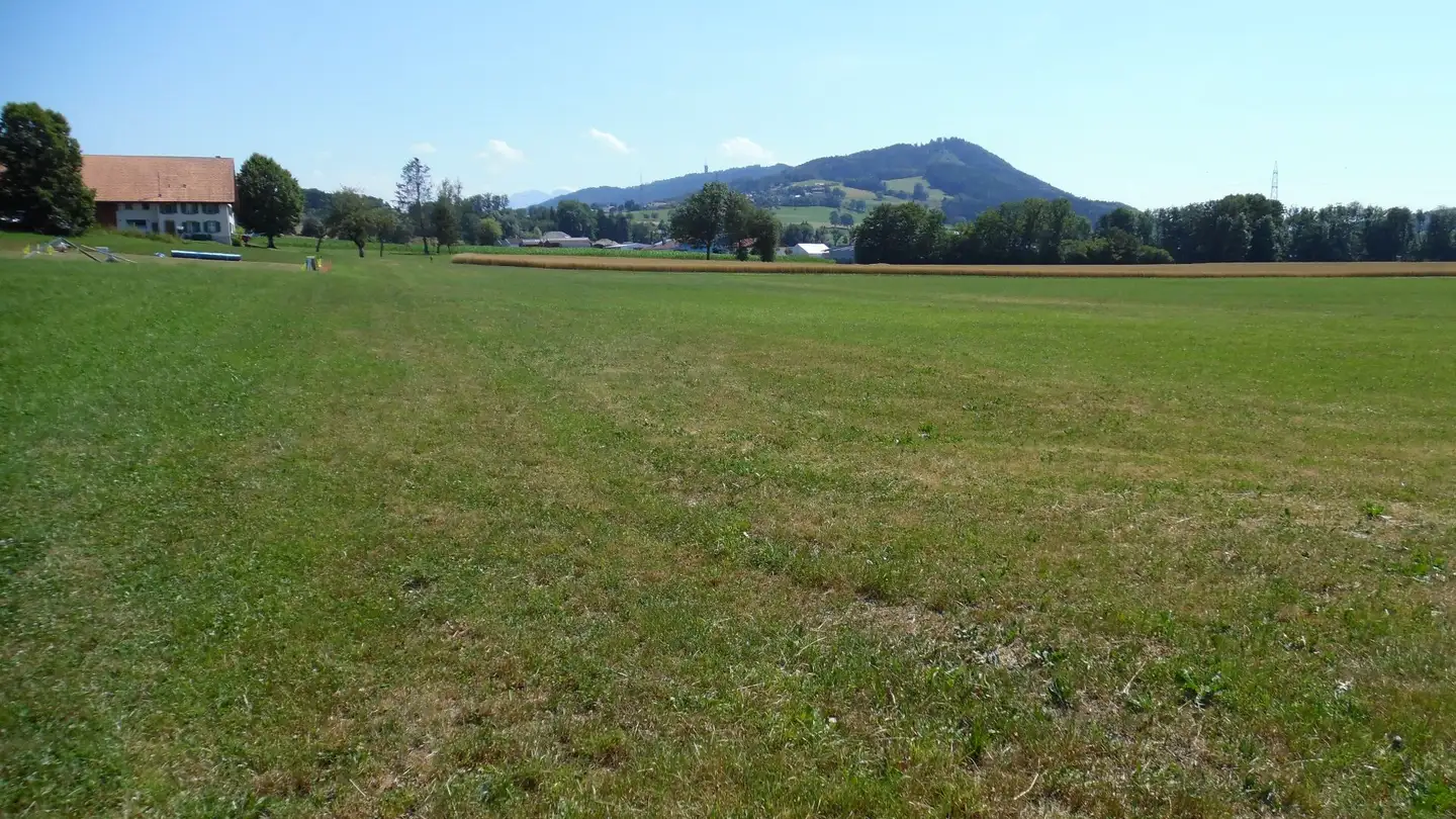 Commercial for sale - 1607 Palézieux-Village