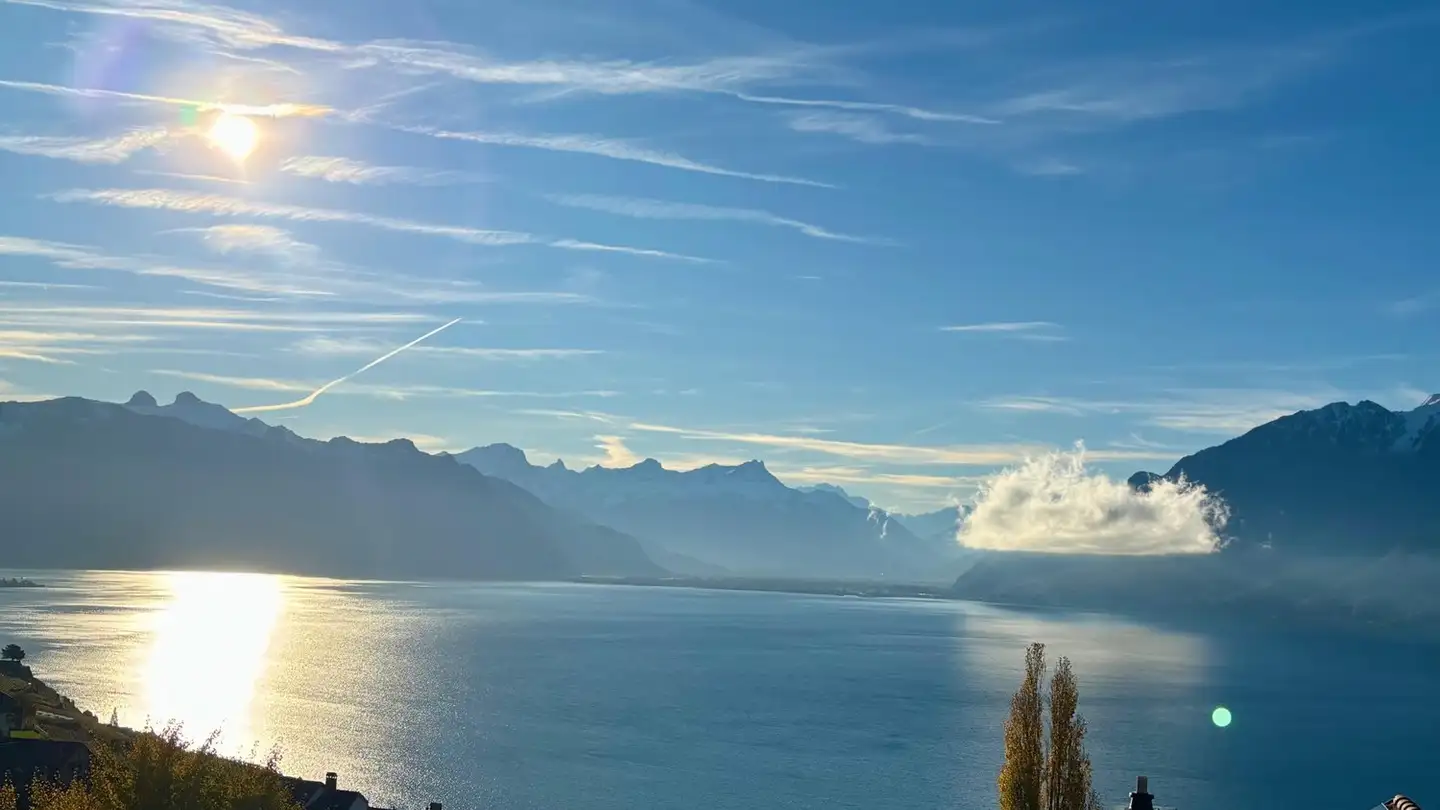 Stanza singola in affitto - 1071 Chexbres - Foto 3