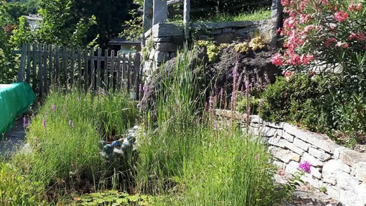 Terreno edificabile in vendita - 6763 Osco - Photo 3