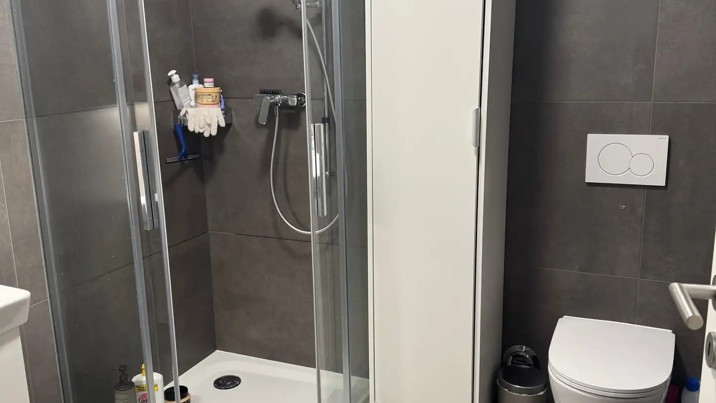 Appartement à louer - Rue Senedu Gebru, 1022 Chavannes-près-Renens - Photo 3