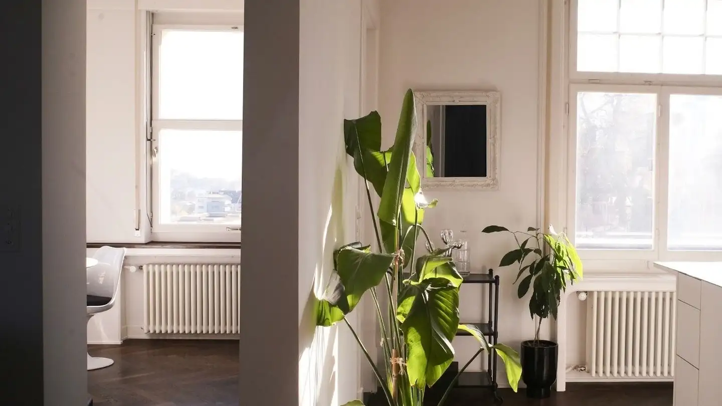 Appartamento in affitto - 8810 Horgen - Photo 3