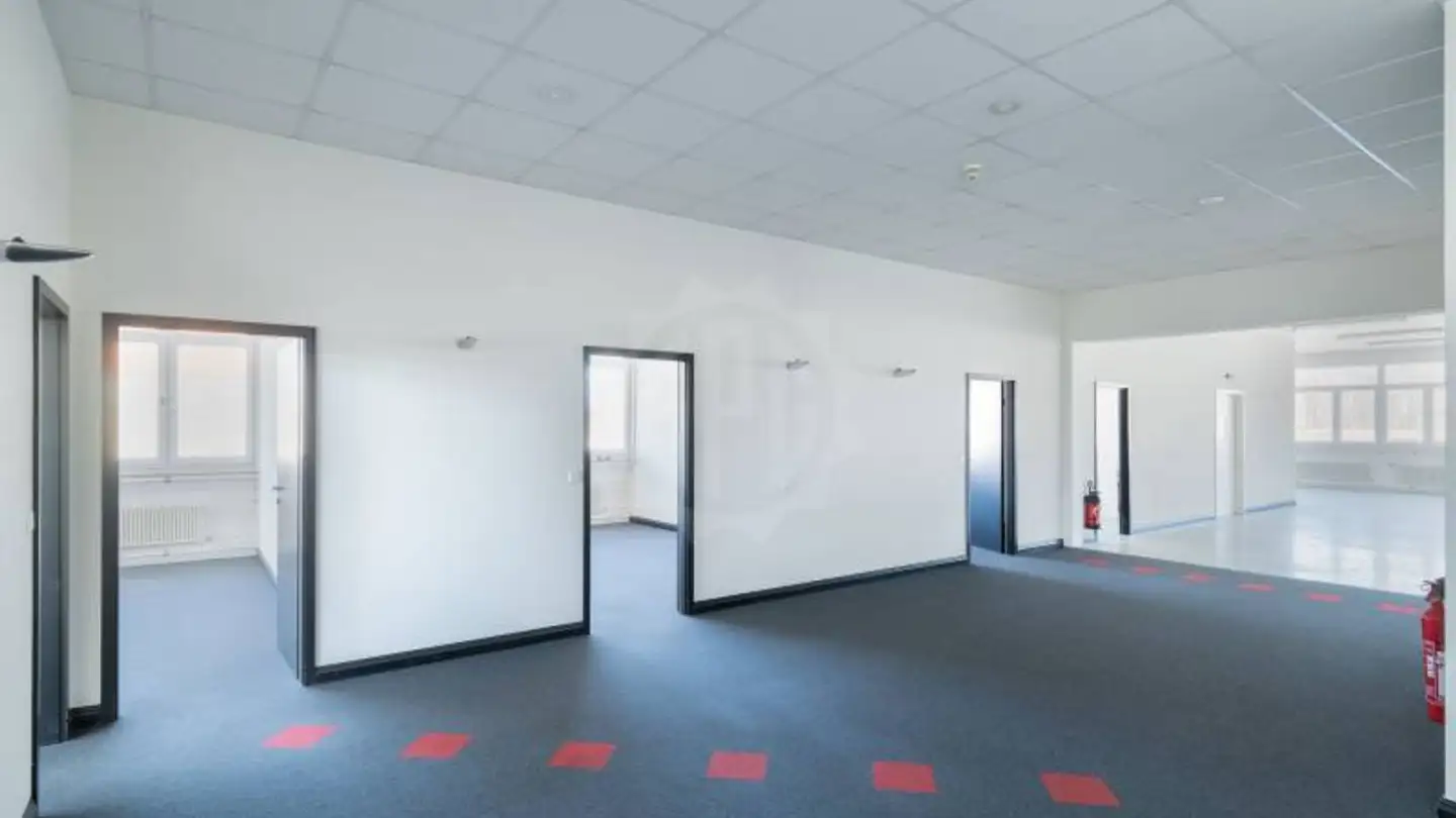 Industrieimmobilie mieten - Route Du Grand-Lancy, 1212 Grand-Lancy - Foto 4