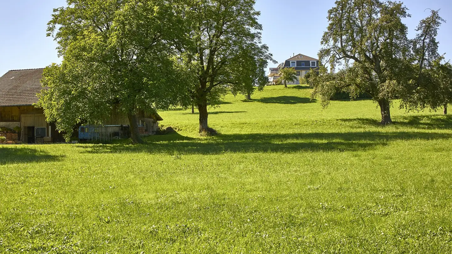 Apartment for rent - Ziegeleistrasse 21, 8360 Eschlikon TG - Photo 2