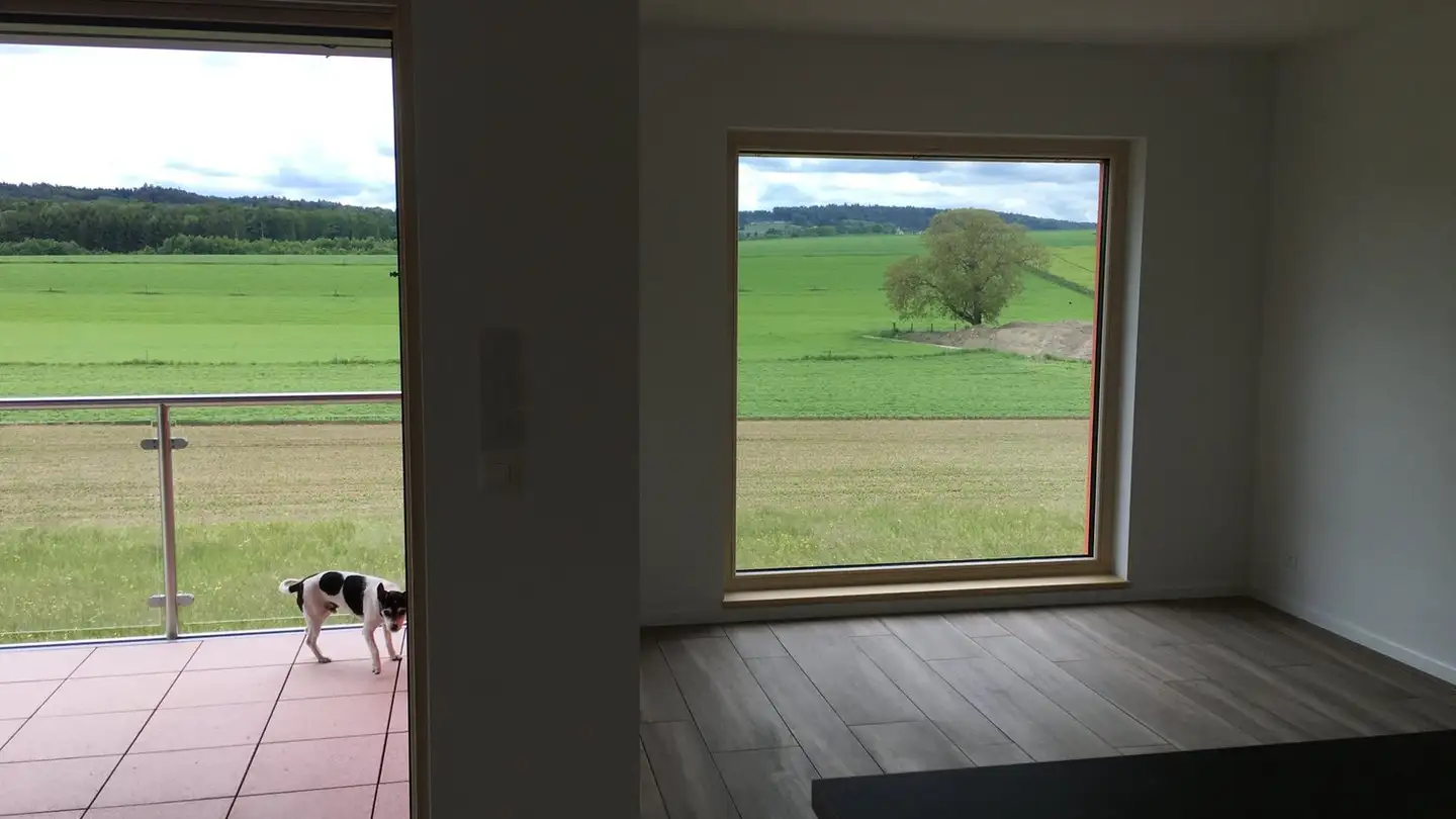 Appartamento in affitto - Route D'avenches 29, 1595 Faoug - Photo 4