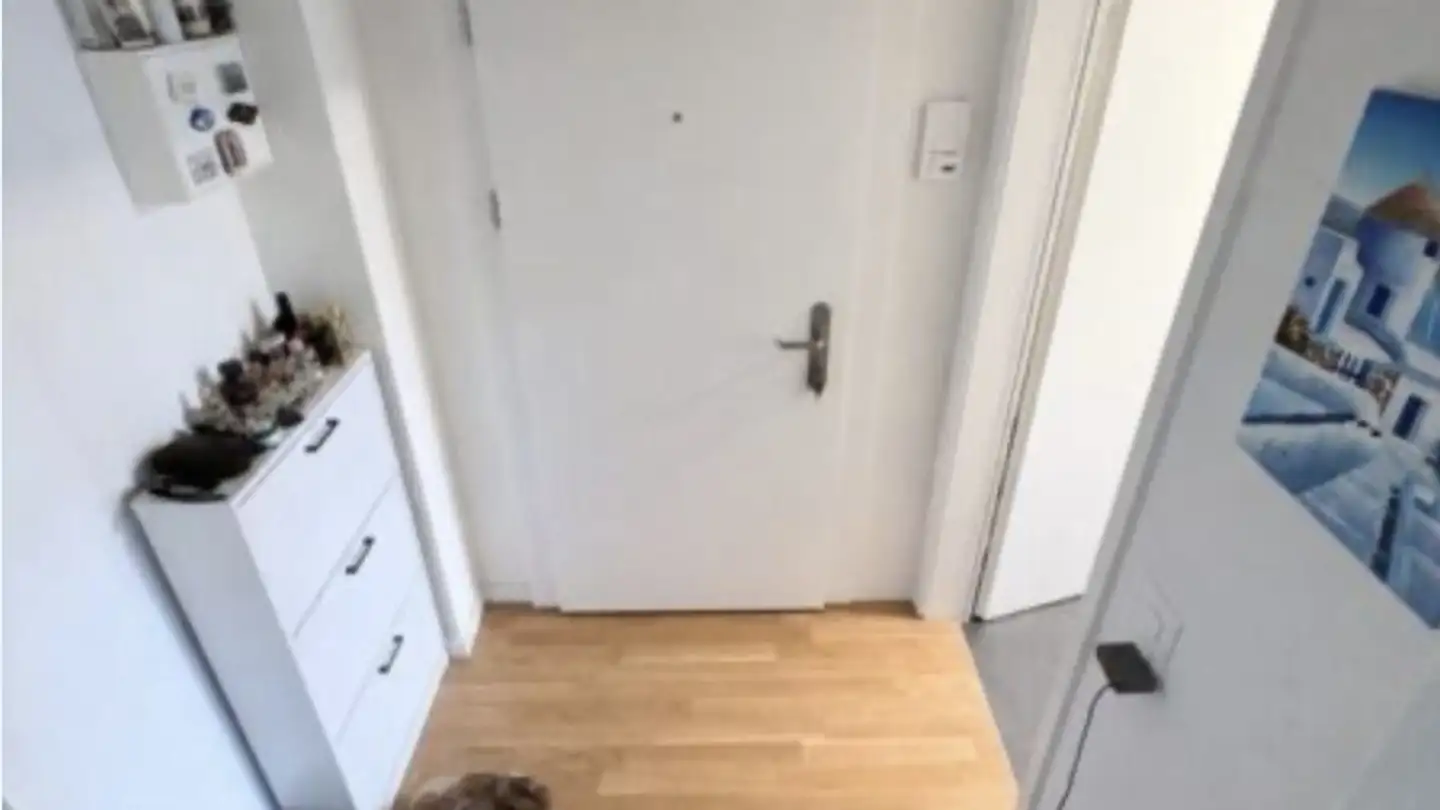 Apartment for rent - 8050 Zürich - Photo 4