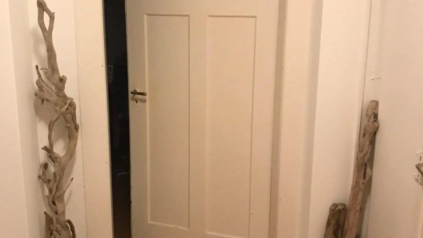 Appartement à louer - Spyriplatz, 8044 Zürich - Photo 3