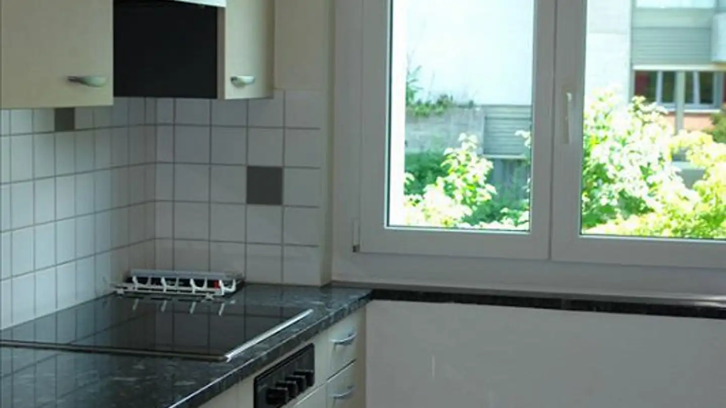 Appartamento in affitto - Limmattalstrasse 284, 8049 Zürich - Photo 3