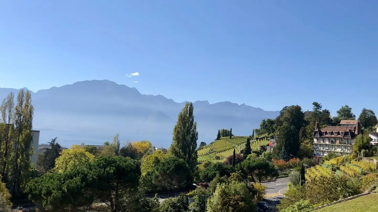 Wohnung kaufen - Chemin Des Riettes 3, 1815 Clarens