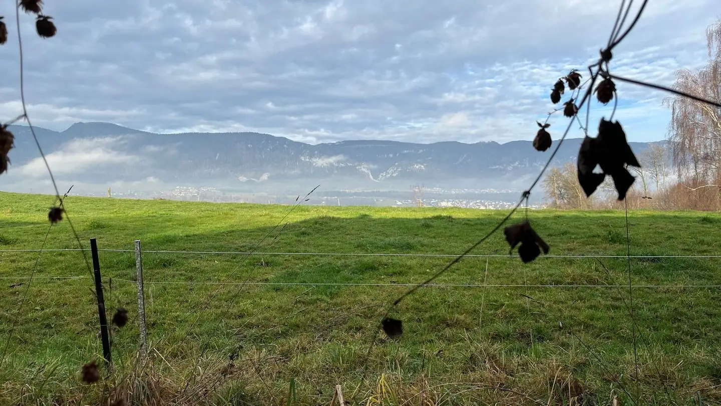 Einfamilienhaus mieten - 4574 Nennigkofen - Foto 3