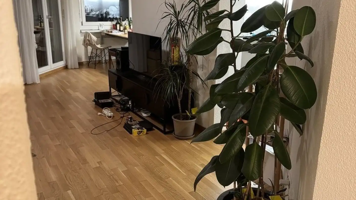 Appartement à louer - 8049 Zürich