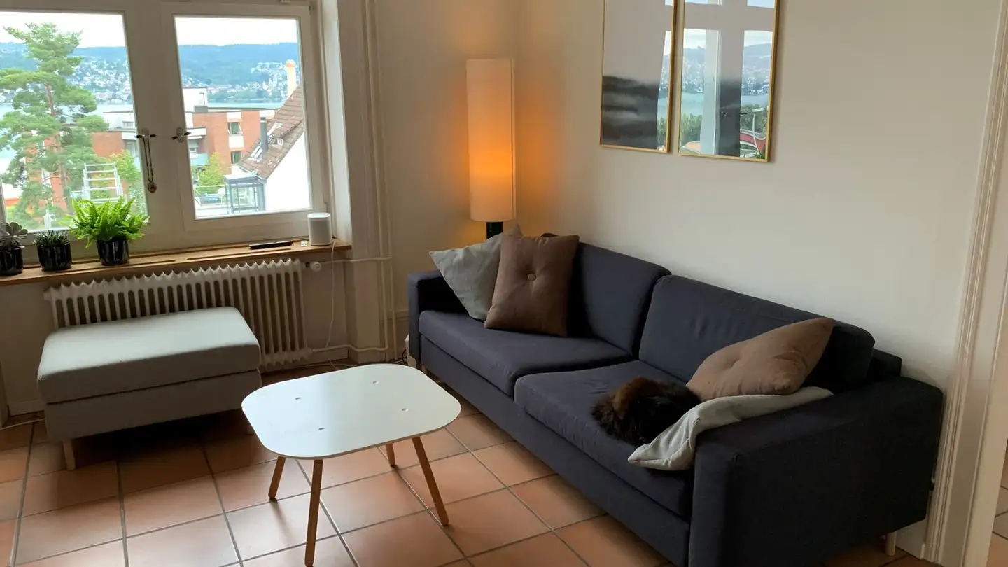 Appartamento in affitto - 8802 Kilchberg ZH - Photo 4