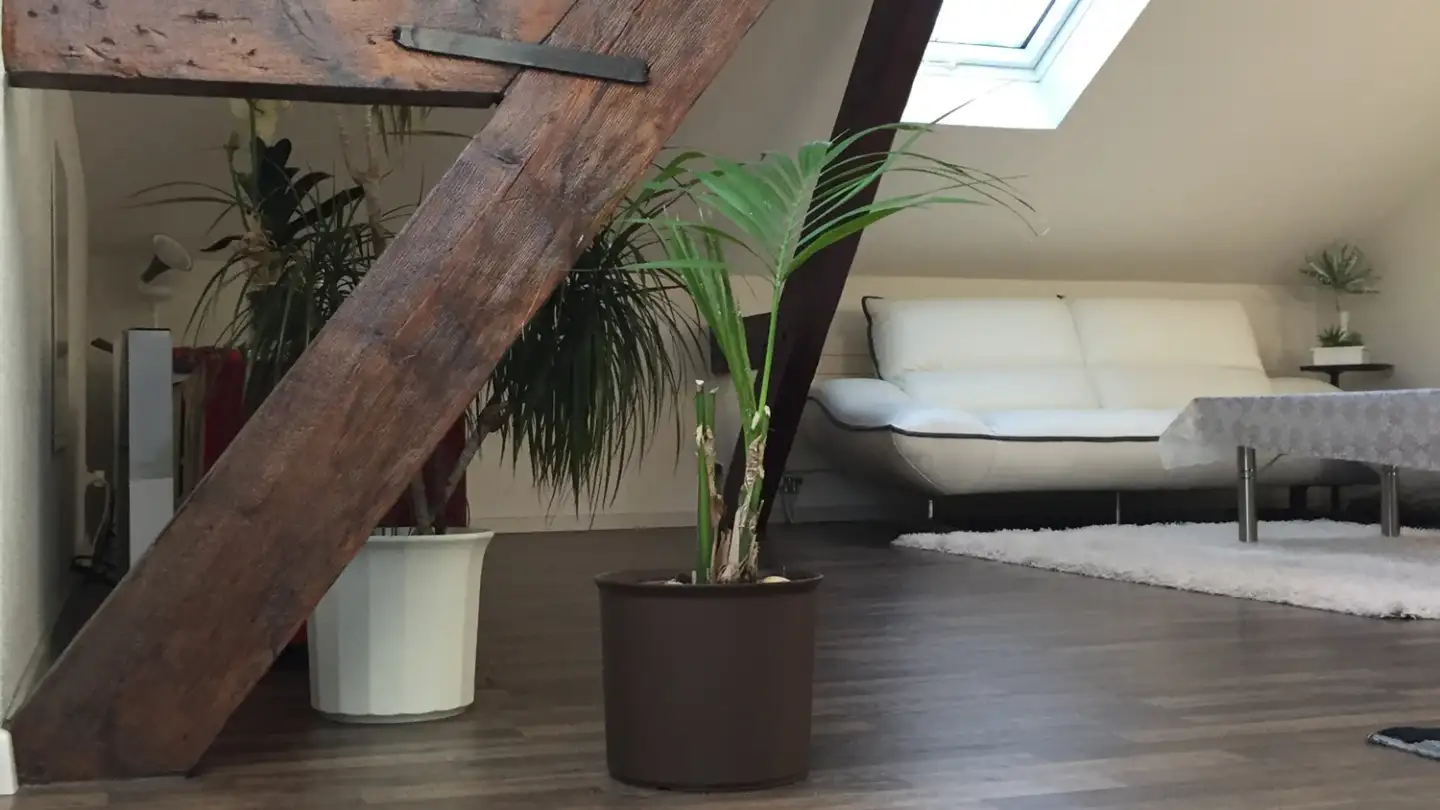 Appartement à louer - Grand-Rue 51, 2710 Tavannes - Photo 3