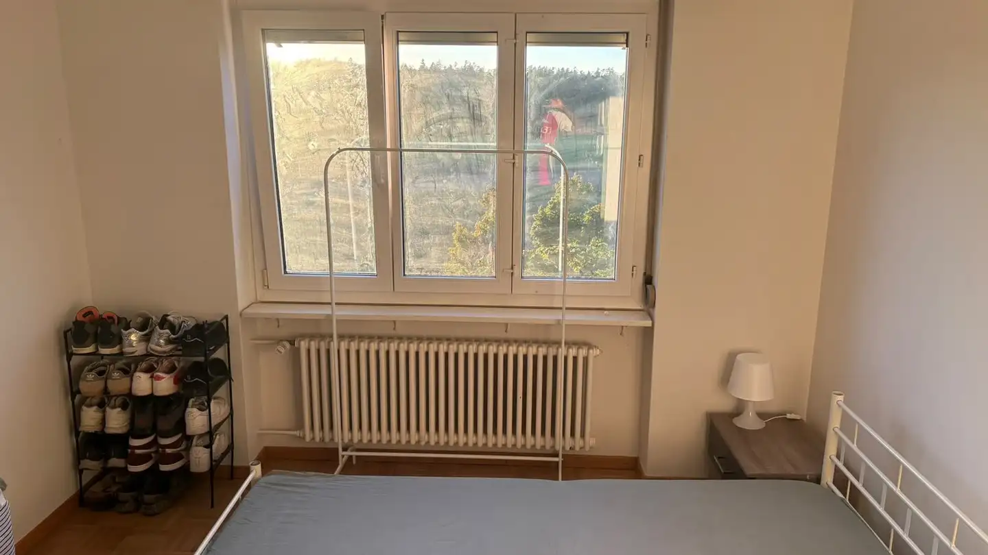 Möblierte Wohnung mieten - 8606 Nänikon