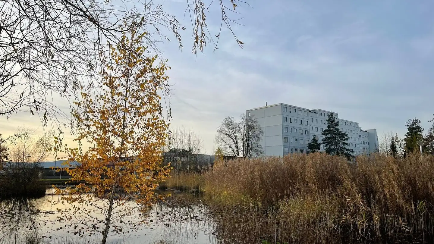 Penthouse mieten - Im Zentrum 17, 8604 Volketswil