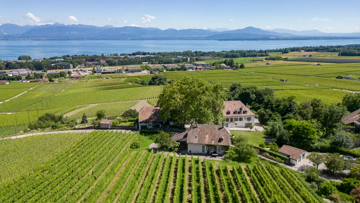 Einfamilienhaus kaufen - 1180 Tartegnin - Foto 2