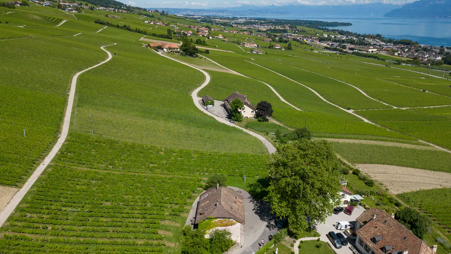 Einfamilienhaus kaufen - 1180 Tartegnin - Foto 4