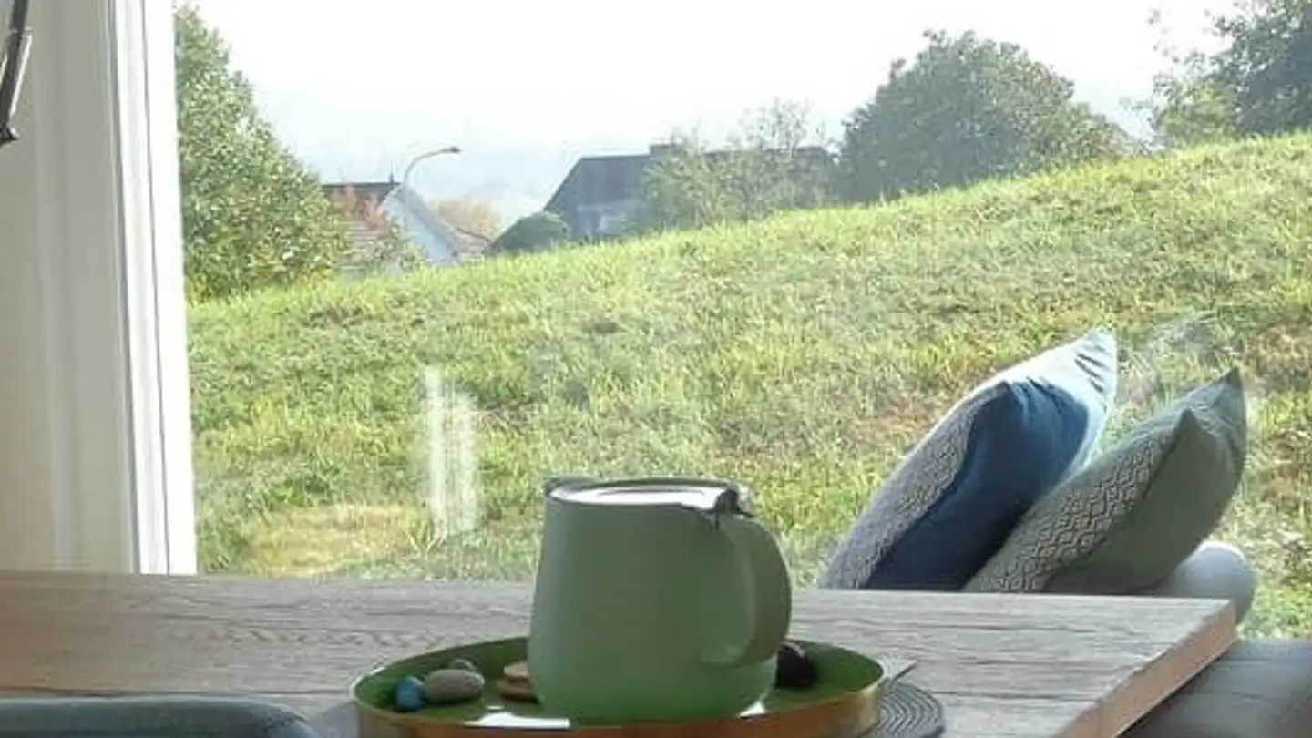 Appartamento in affitto - Altschlossweg 4, 8805 Richterswil - Photo 4