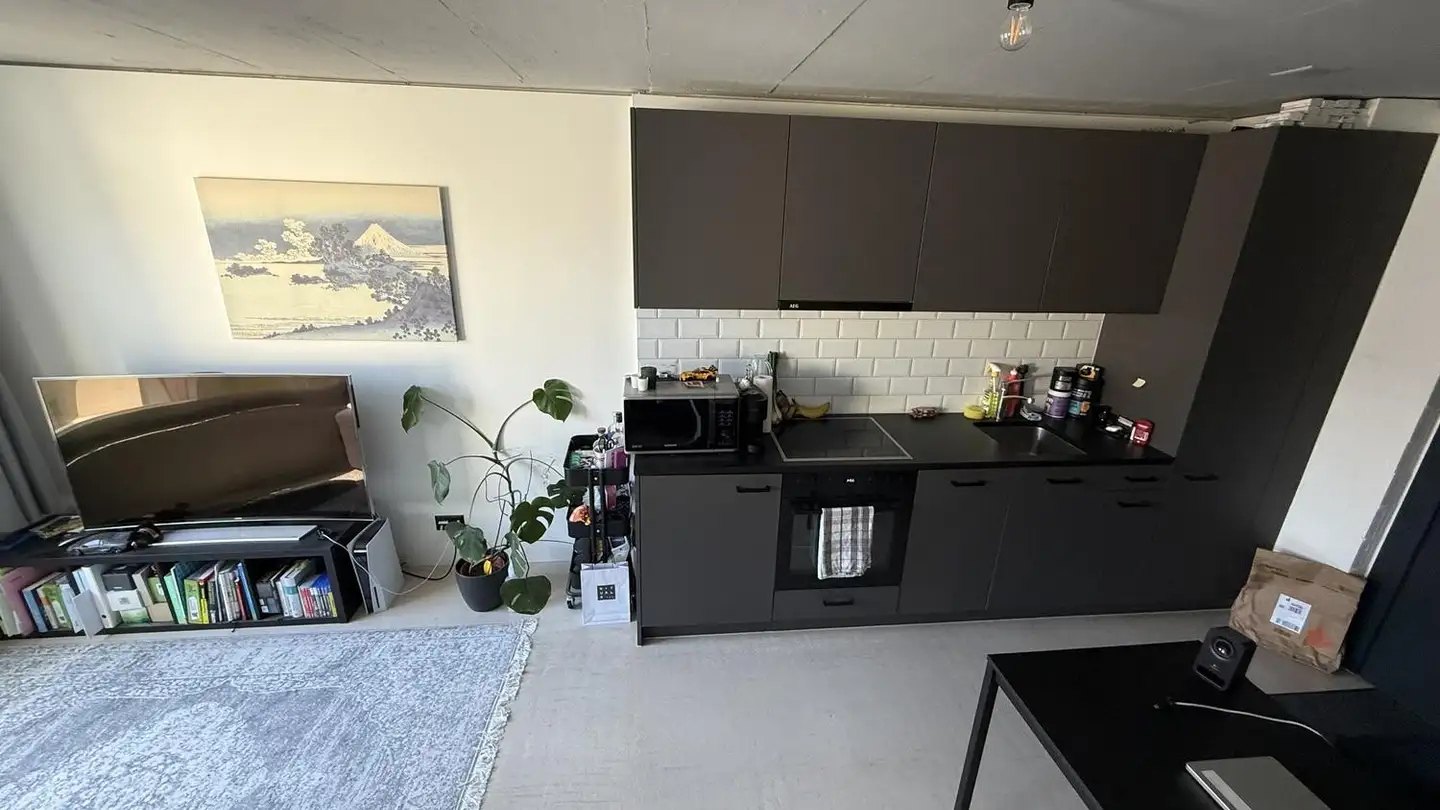 Appartamento in affitto - 9008 St. Gallen - Foto 3