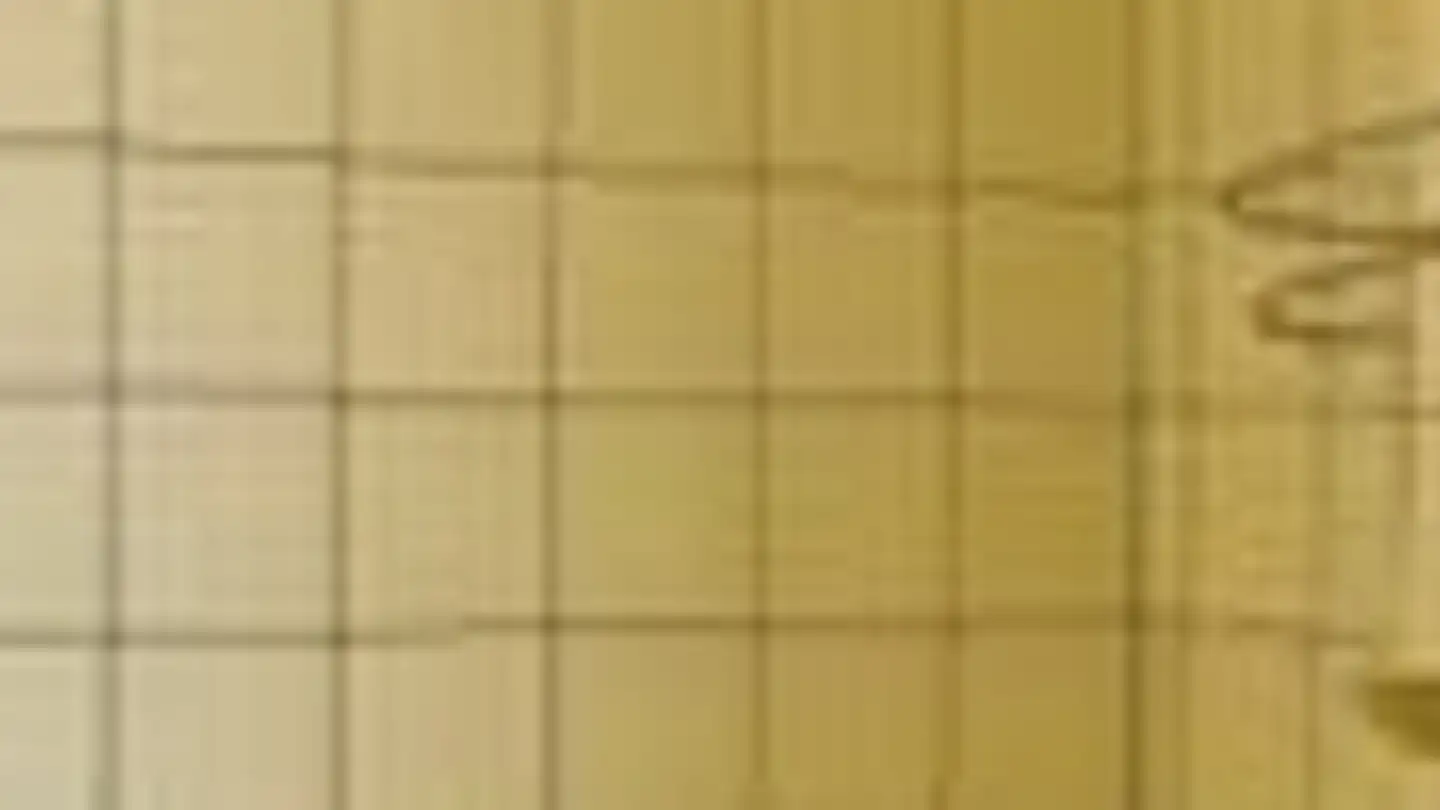 Appartement à louer - Gurtenstrasse 7, 3122 Kehrsatz - Photo 2