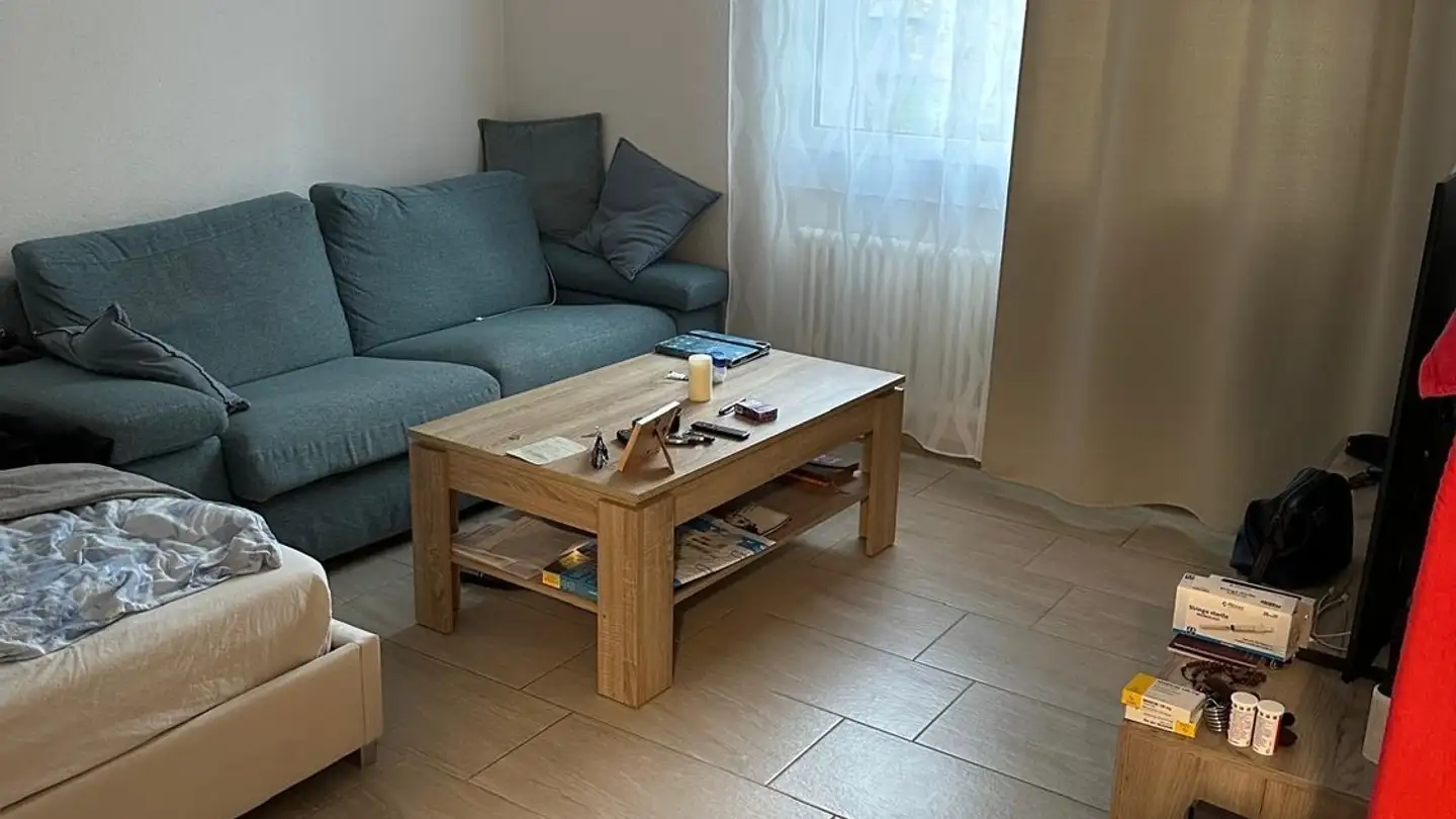 Apartment for rent - 8953 Dietikon