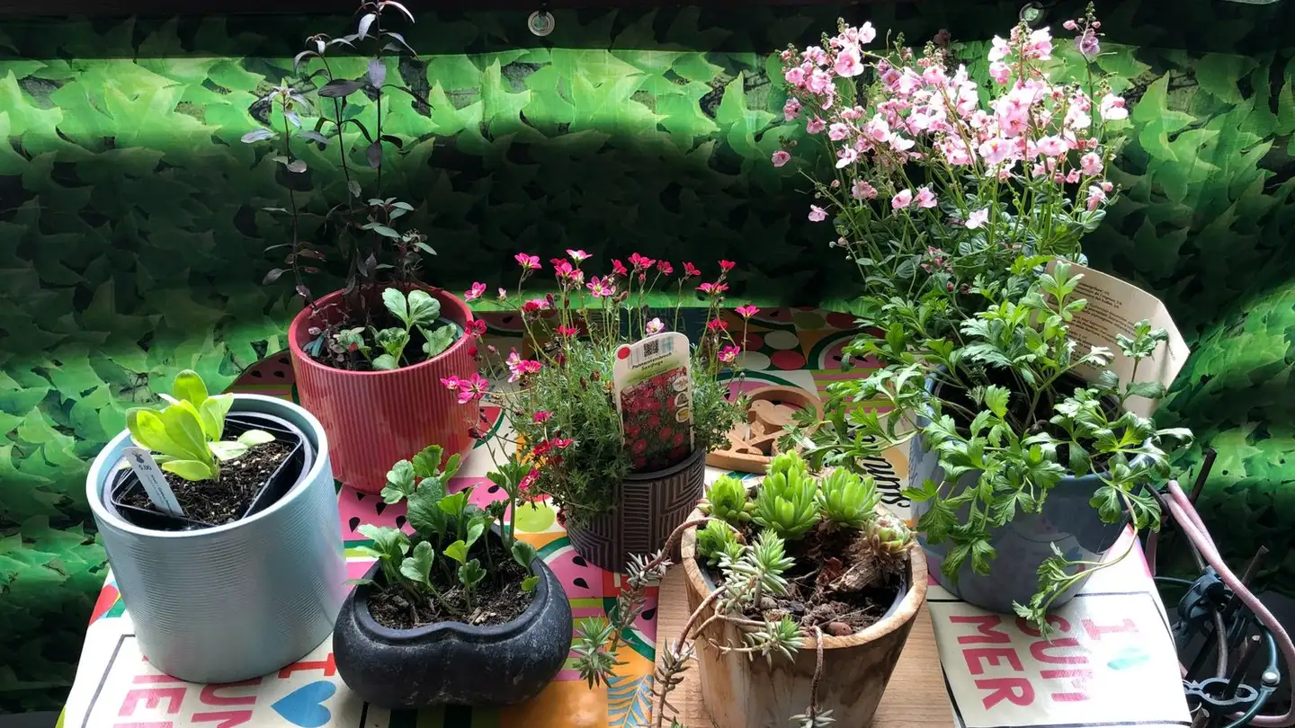 Apartment for sale - Route De La Jorette, 1899 Torgon - Photo 4