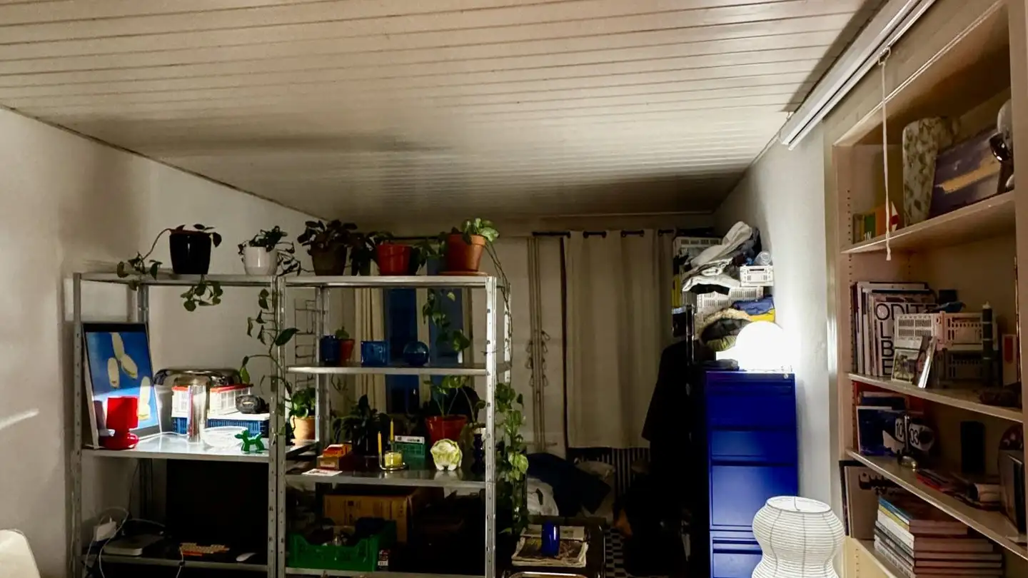 Wohnung mieten - Rue Adam-Friedrich-Molz / Adam-Friedrich-Molz-Gasse 37, 2502 Biel/Bienne