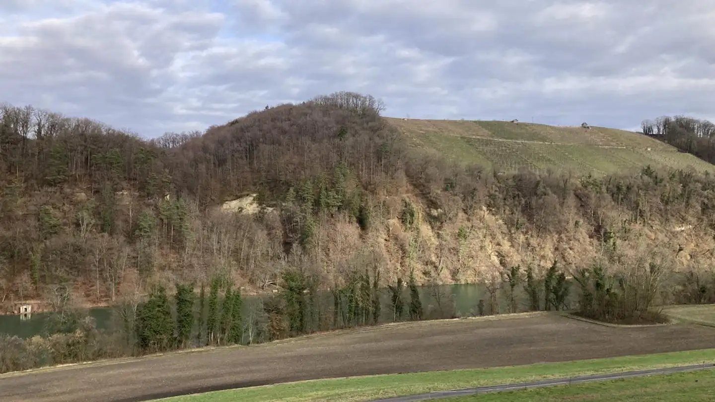 Apartment for sale - Tössriederenstrasse 81, 8193 Eglisau