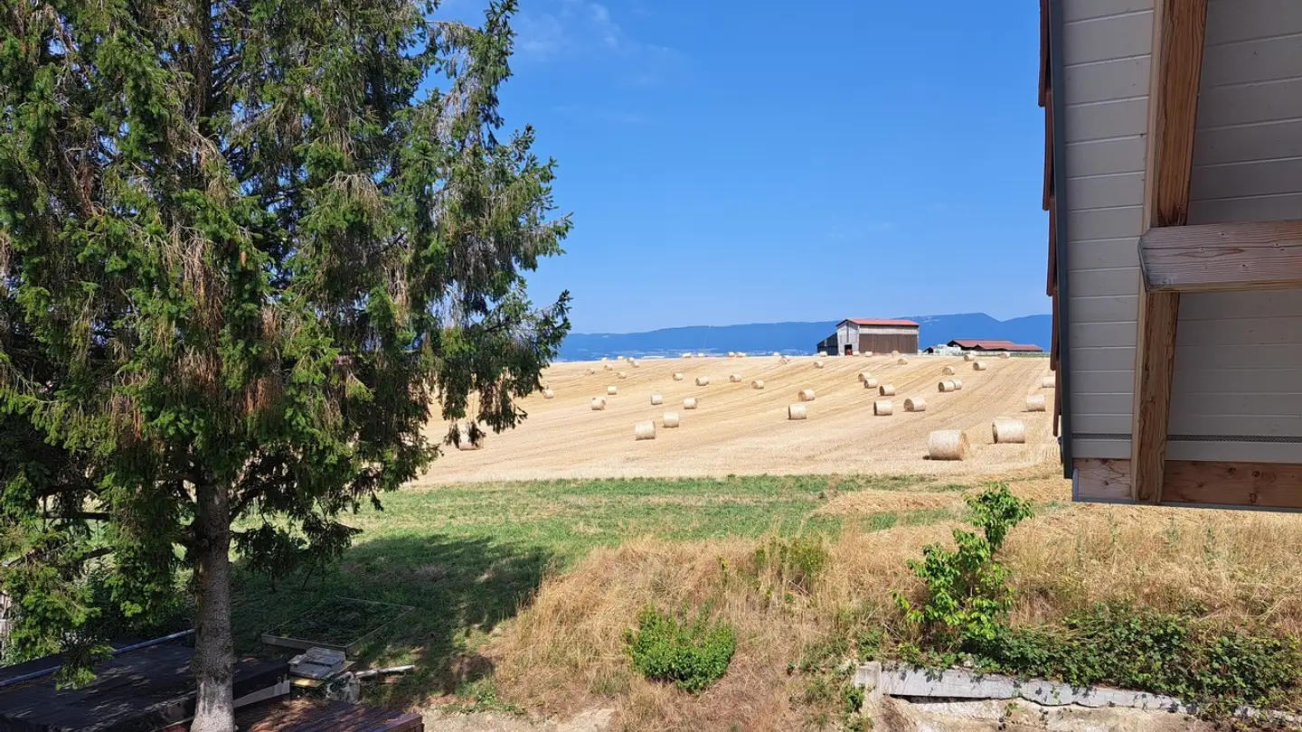 Appartamento in affitto - Route De La Rochette 15, 1541 Bussy FR - Photo 4