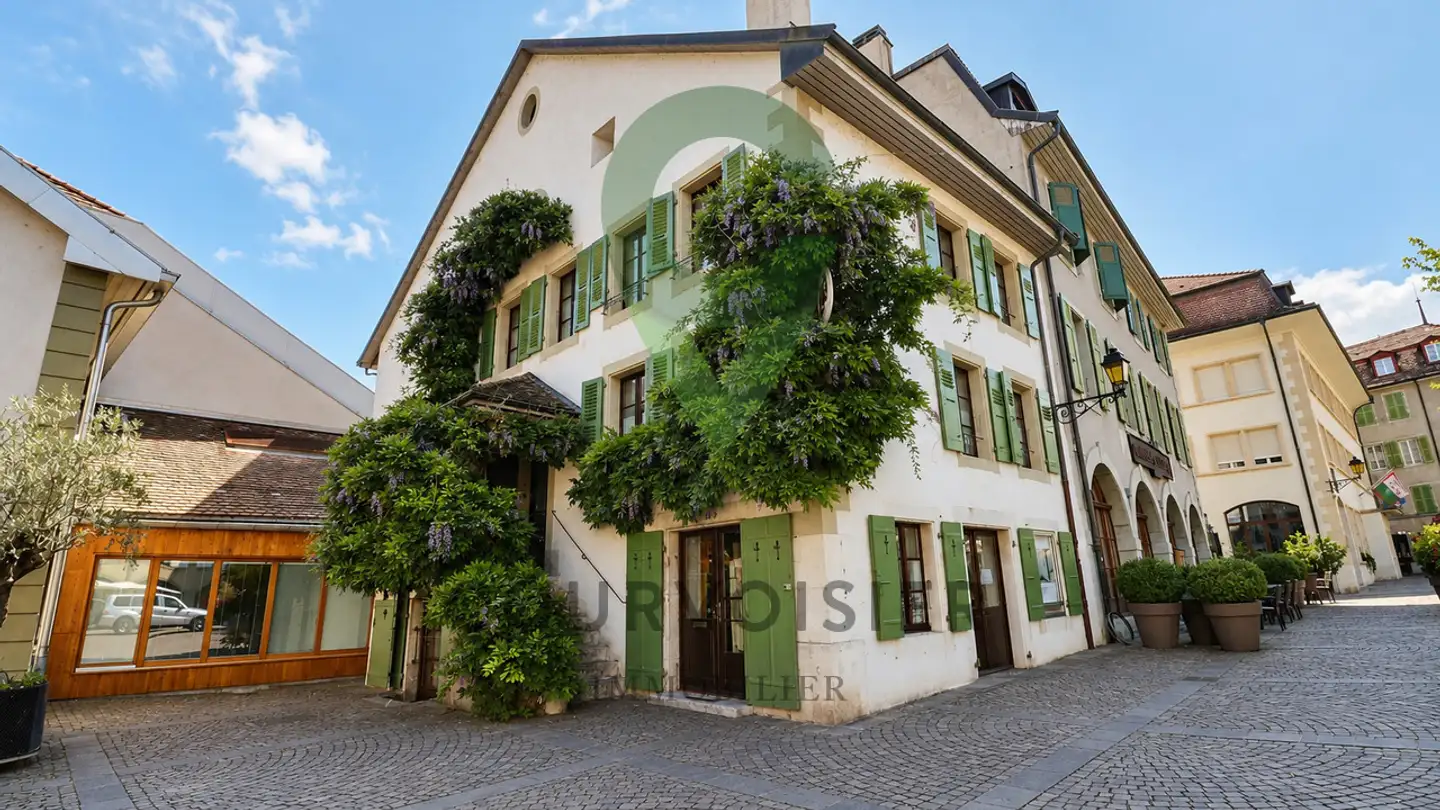 Cave house for sale - 1260 Nyon