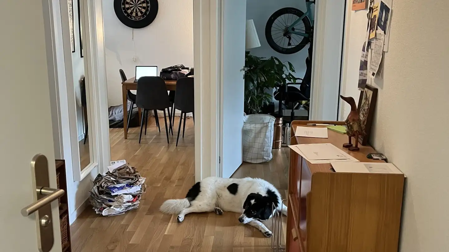 Stanza singola in affitto - Riedenhaldenstrasse 78, 8046 Zürich - Photo 4