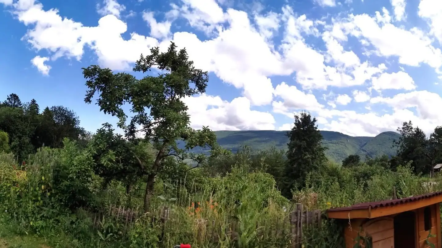 Stanza singola in affitto - 4713 Matzendorf - Photo 2