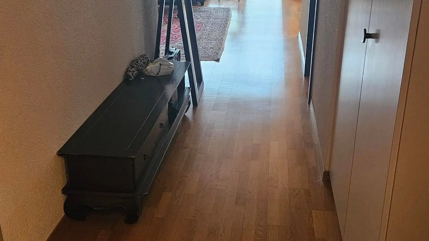 Apartment for rent - Wangenstrasse 45a, 3018 Bern - Photo 4