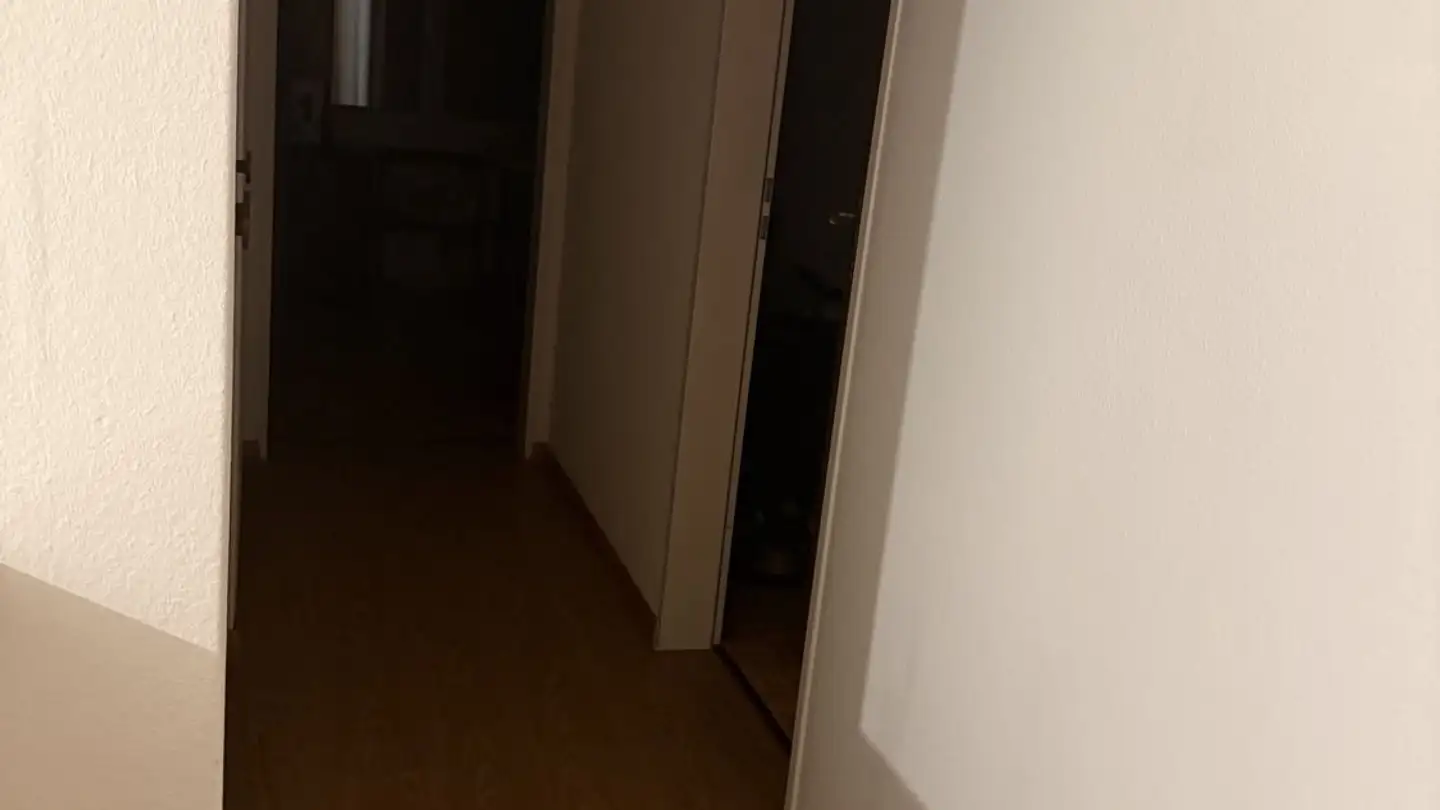 Appartement à louer - Zihlstrasse 11, 8280 Kreuzlingen - Photo 3