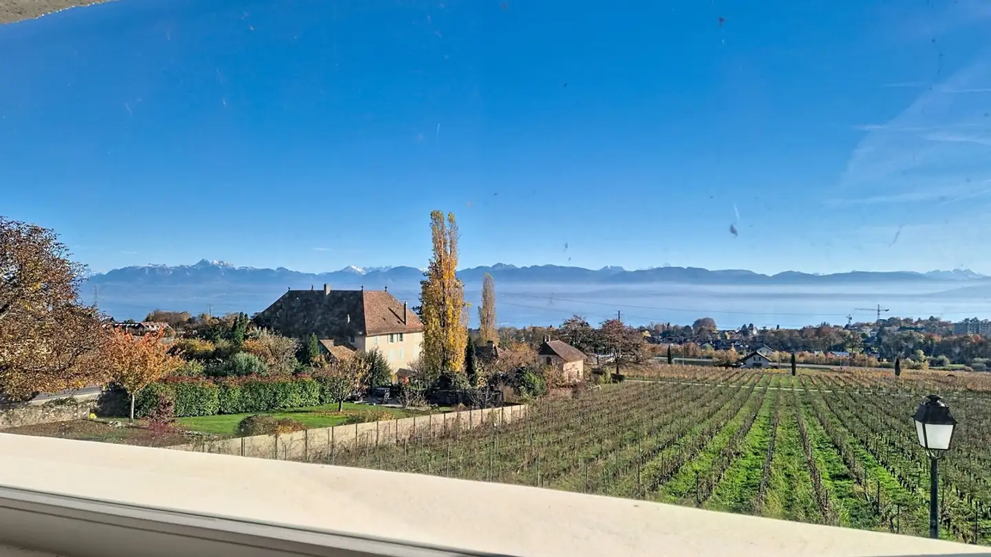 Wohnung kaufen - Route Du Creux-Du-Mas 14, 1185 Mont-sur-Rolle