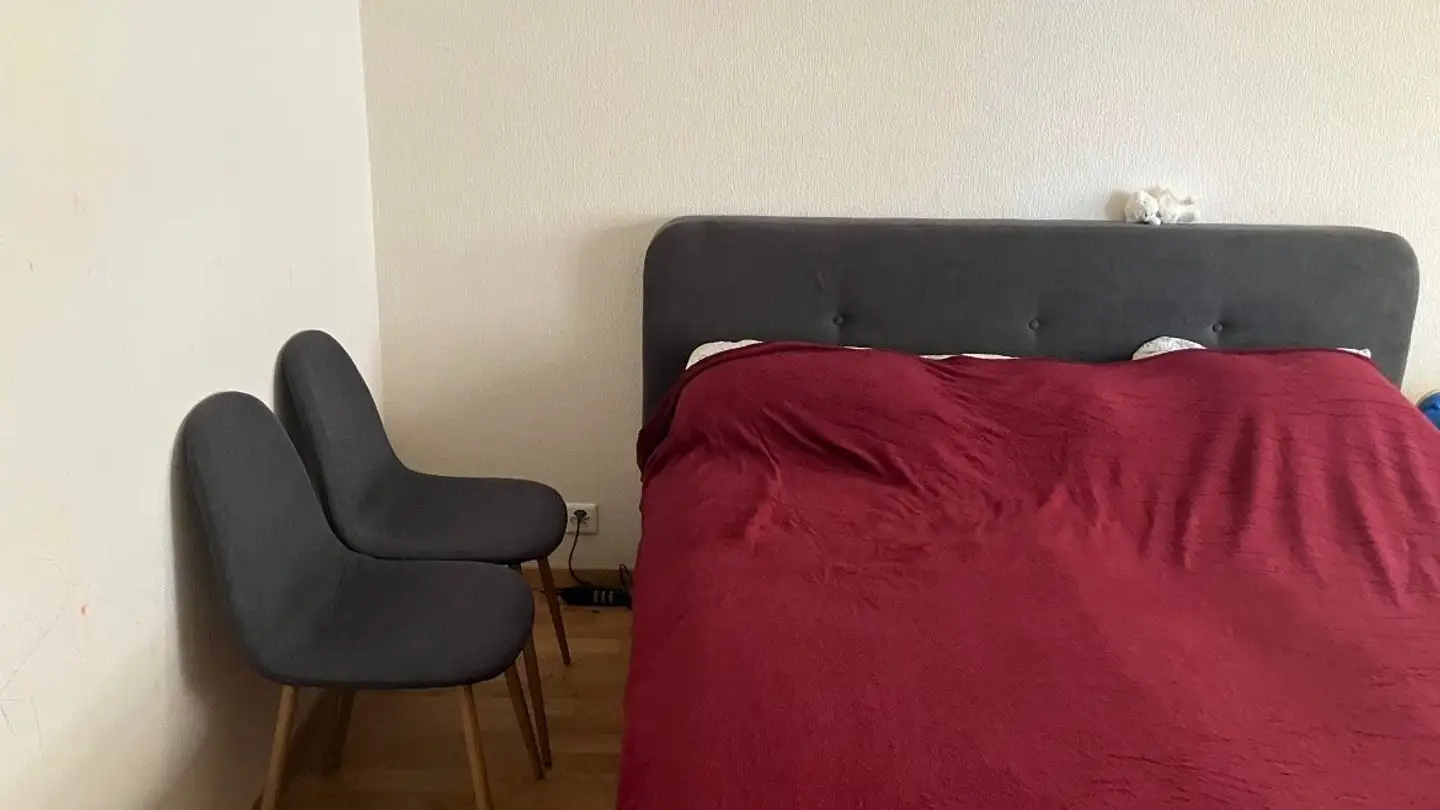 Appartamento in affitto - Chemin Des Croix-Rouges, 1007 Lausanne - Foto 4