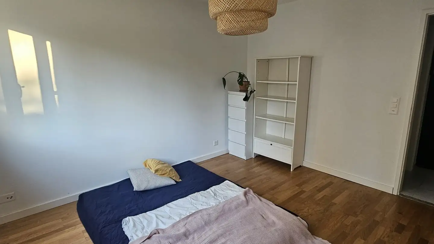 Chambre à louer - 8055 Zürich