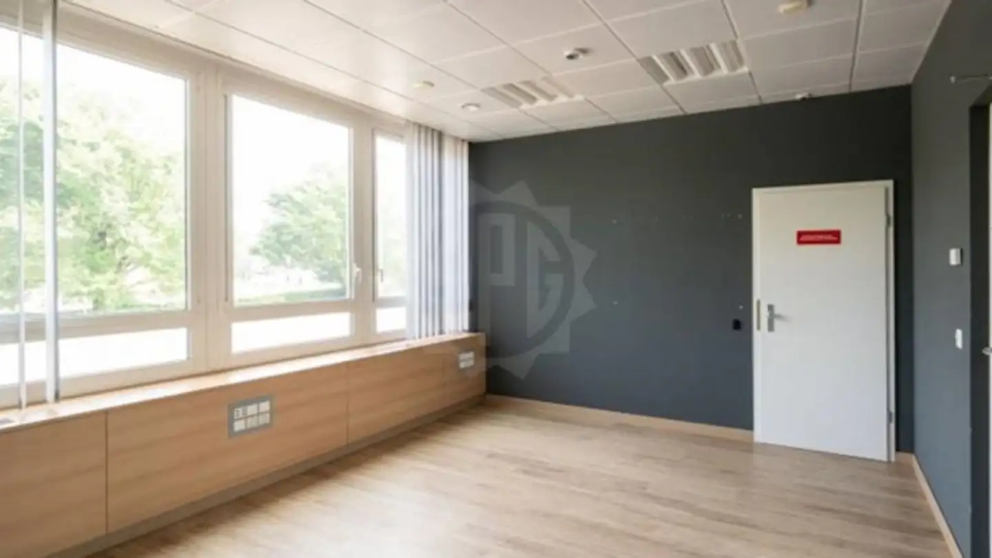 Office space for rent - Route De Meyrin 267, 1217 Meyrin