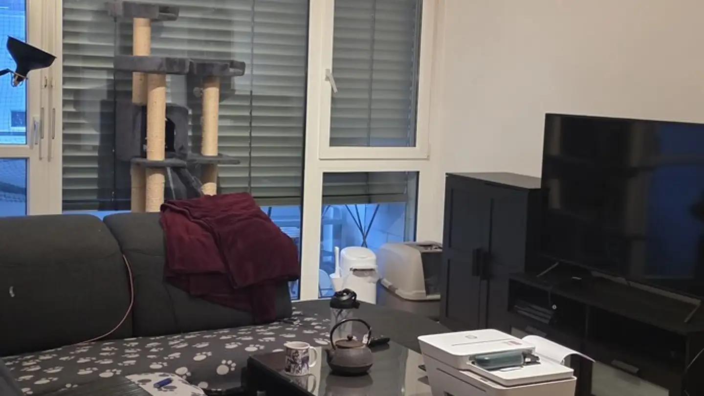 Apartment for rent - 8307 Effretikon