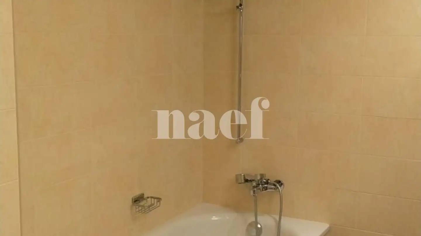 Loft mieten - Rue Des Belles-Filles 3, 1296 Coppet - Foto 4