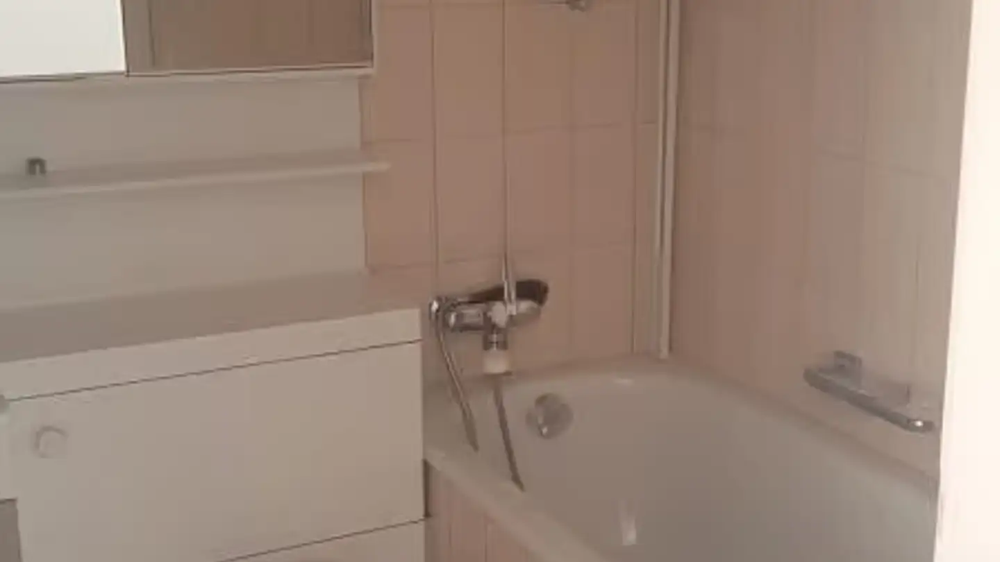 Studio for rent - Lehenmattstrasse 221, 4052 Basel - Photo 4
