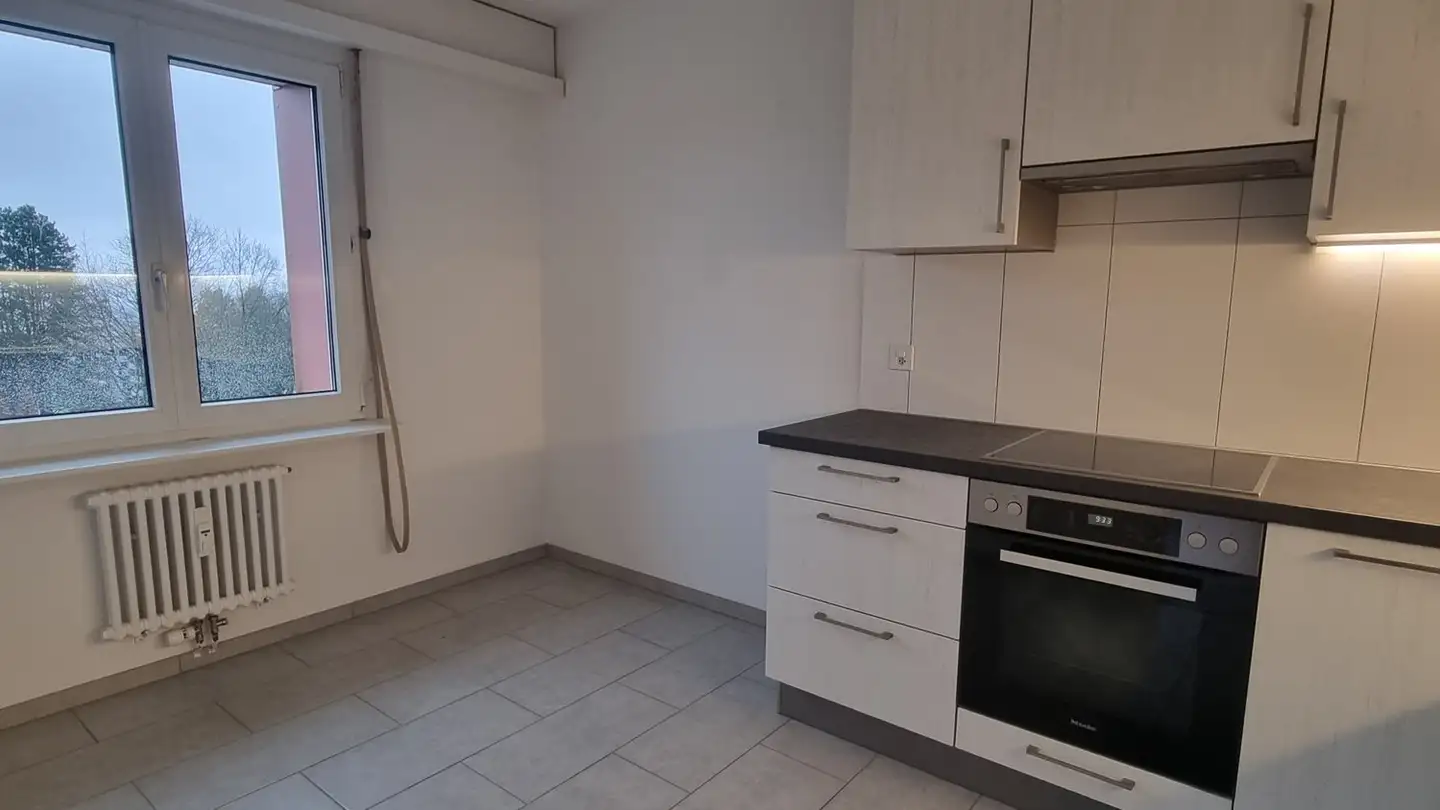 Appartamento in affitto - Holeeholzweg 75, 4102 Binningen - Foto 3