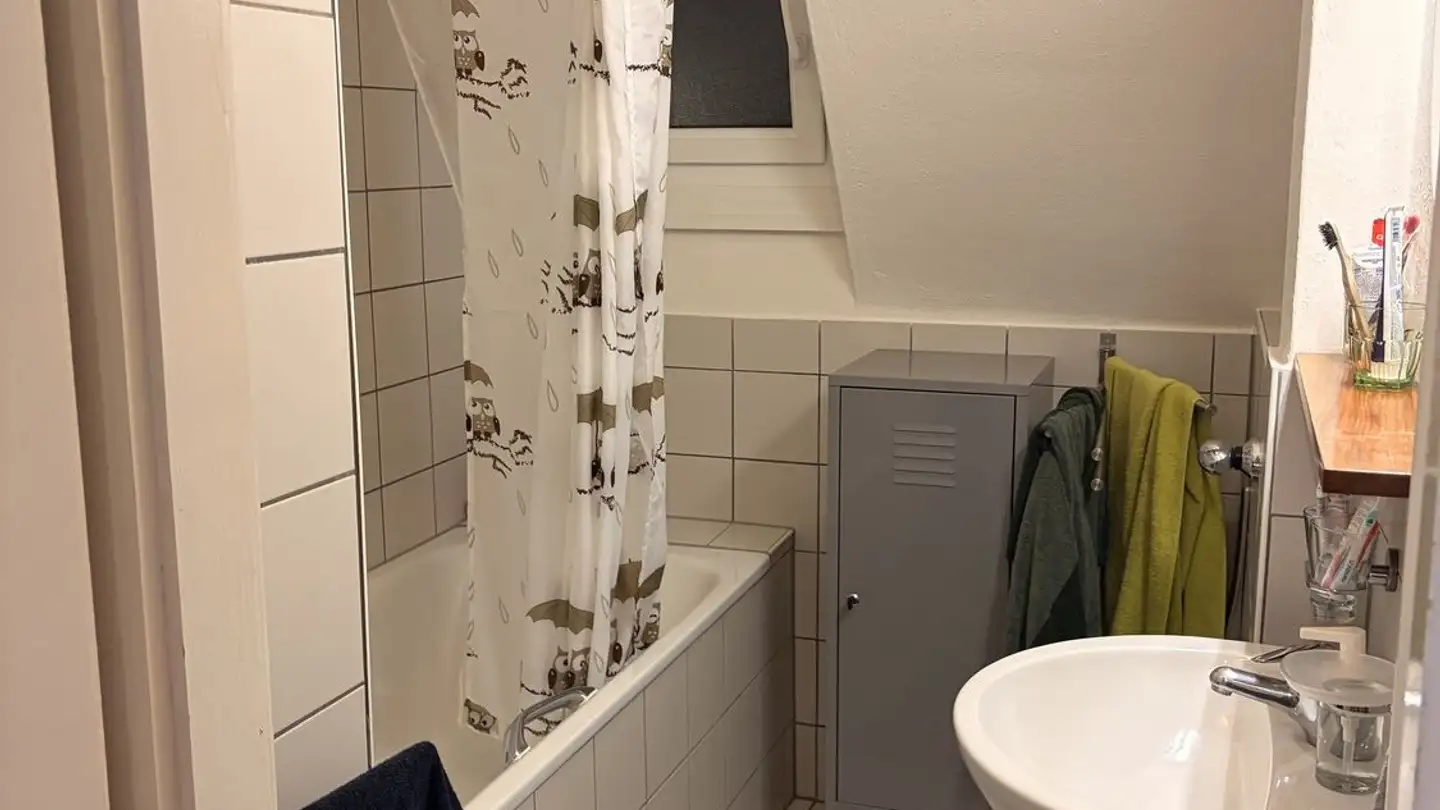 Single room for rent - Bachmattstrasse 45, 8048 Zürich - Photo 3