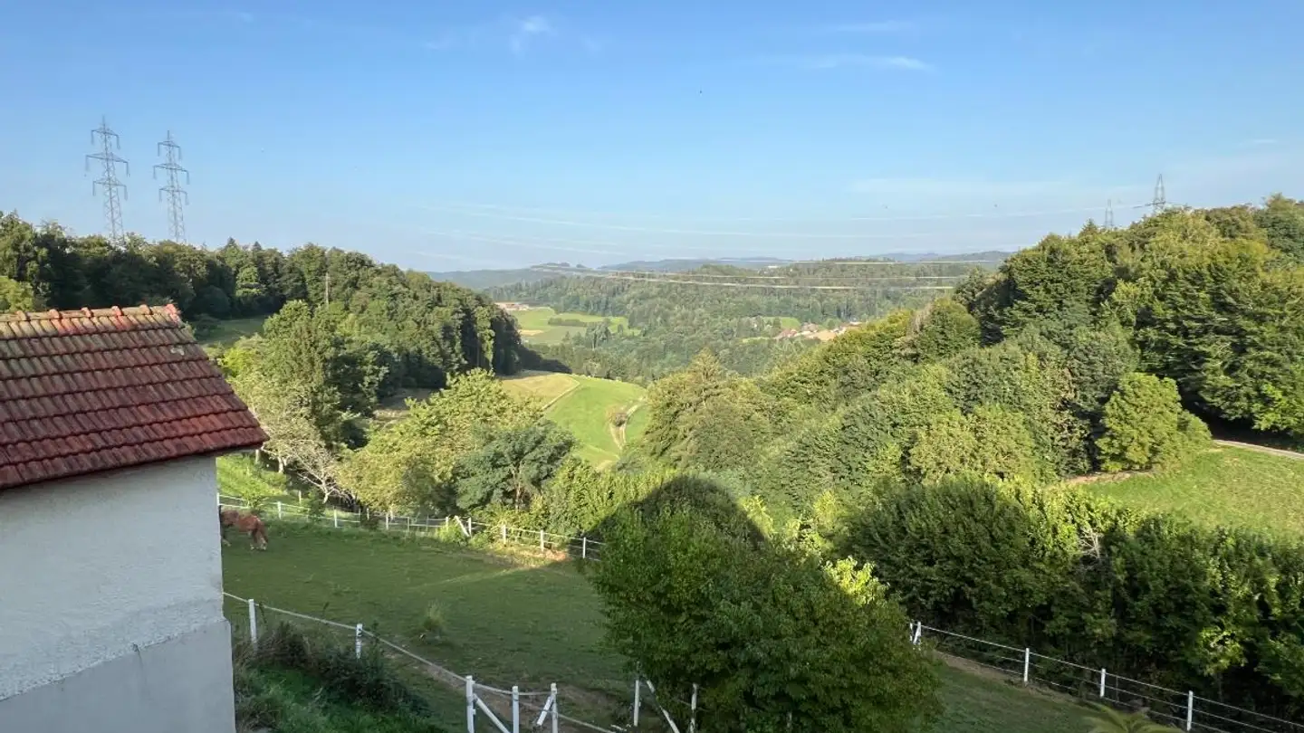 Casa singola in vendita - Neudorfstrasse 17, 4813 Uerkheim - Photo 3