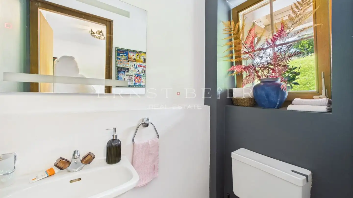 Casa singola in vendita - Les Mosses, 1862 Les Mosses - Photo 4