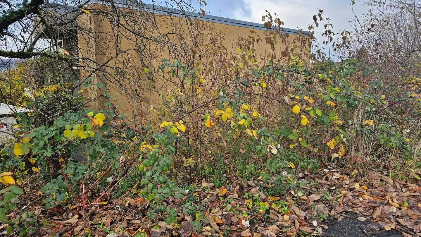 Maison jumelle à vendre - Quellenweg 2, 8217 Wilchingen - Photo 3