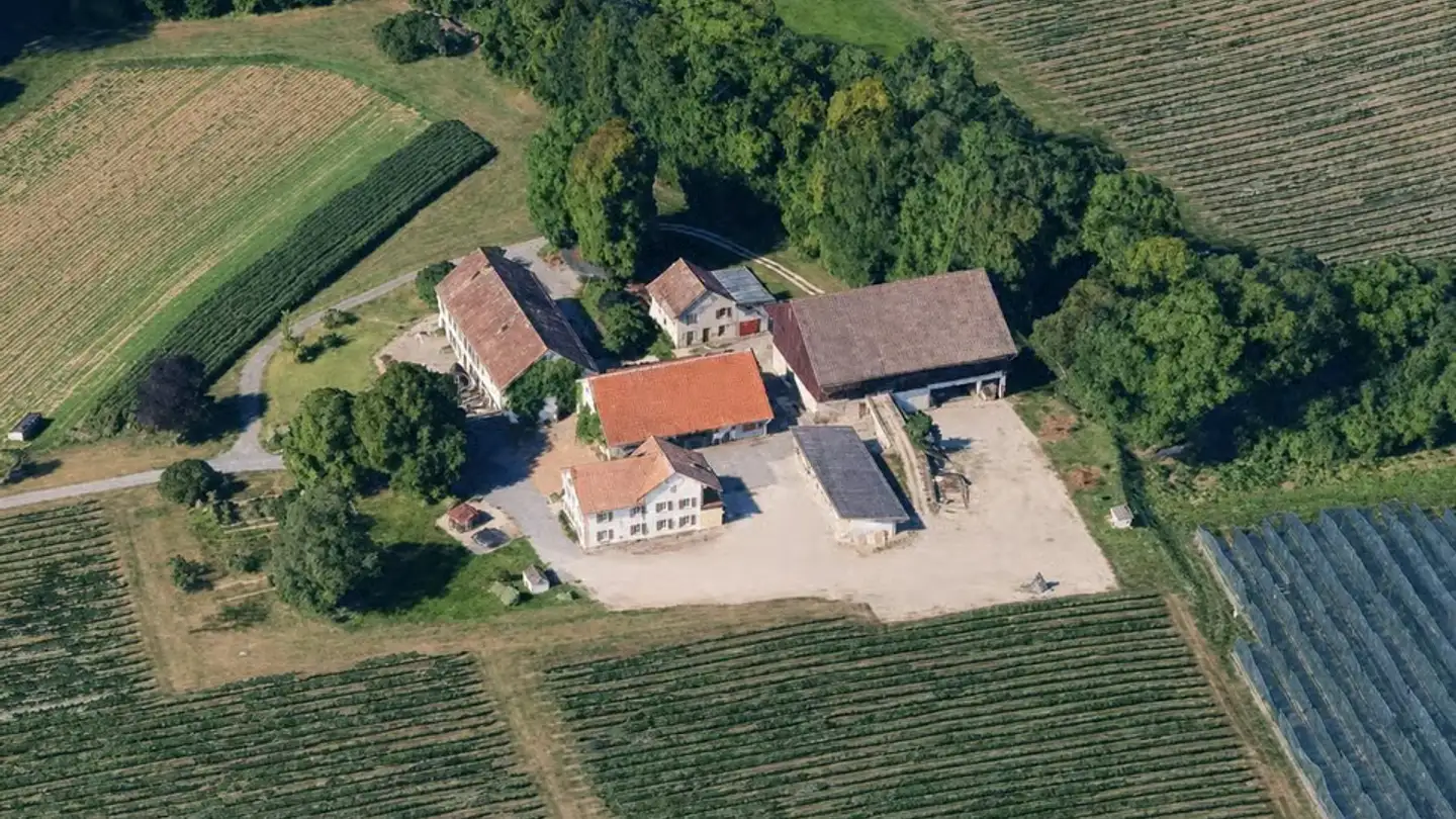 Commerciale in vendita - 1260 Nyon