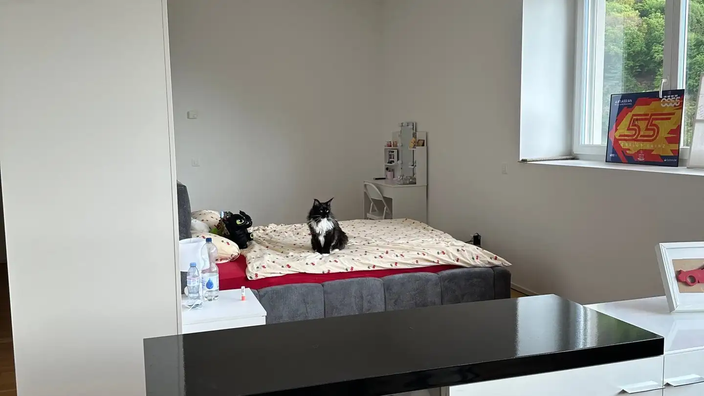 Appartamento in affitto - Via Del Carmagnola 36a, 6517 Arbedo - Foto 4