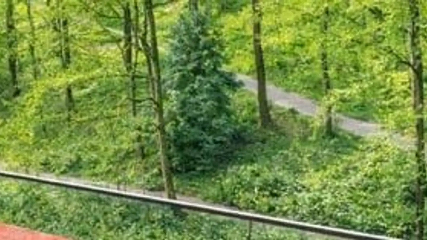 Wohnung mieten - Seebacherstrasse 28, 8052 Zürich - Foto 4